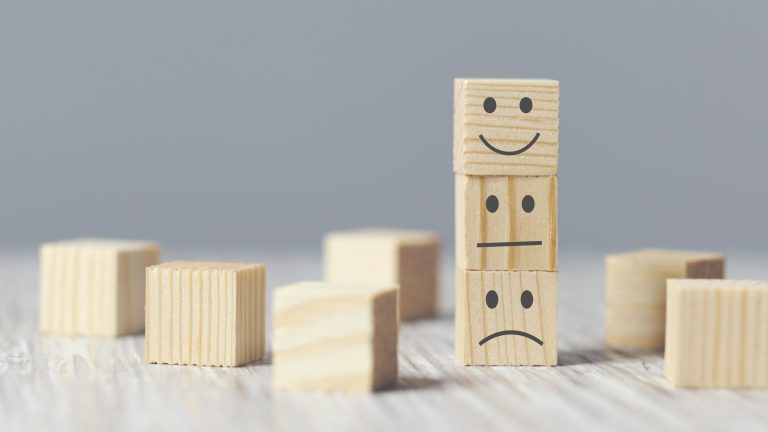 Employee Opinion Surveys