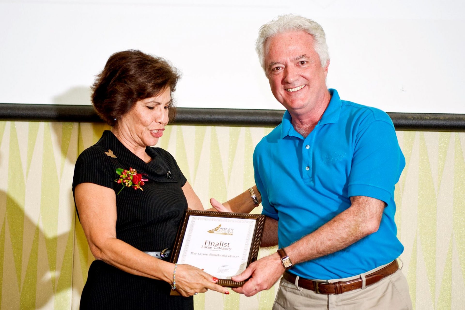 Ros Jackson presenting to the Finalists in the Large Business Category 2012 - Crane Residential Resort