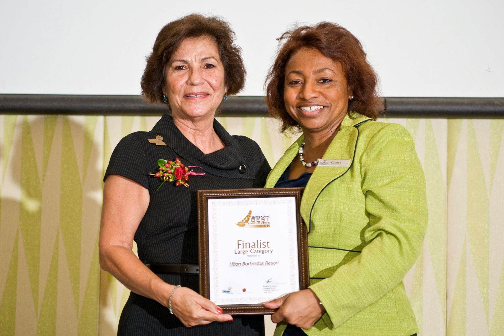 Ros Jackson presenting to Finalists in the Large Business Category 2012 - Hilton Barbados Resort