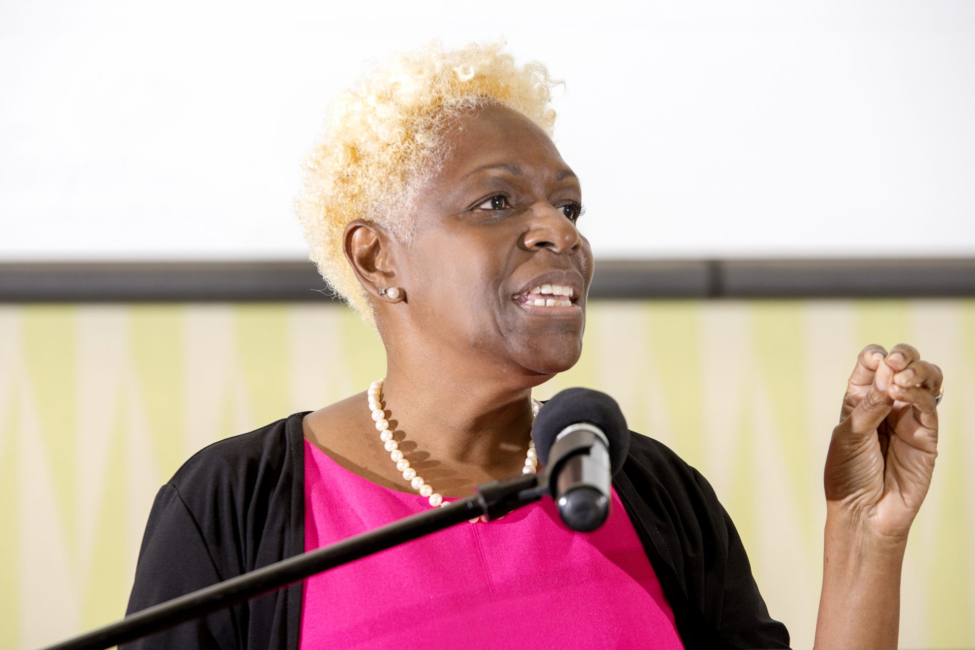 Chief Reviewer gave a brief overview of the work of the Review Panel.