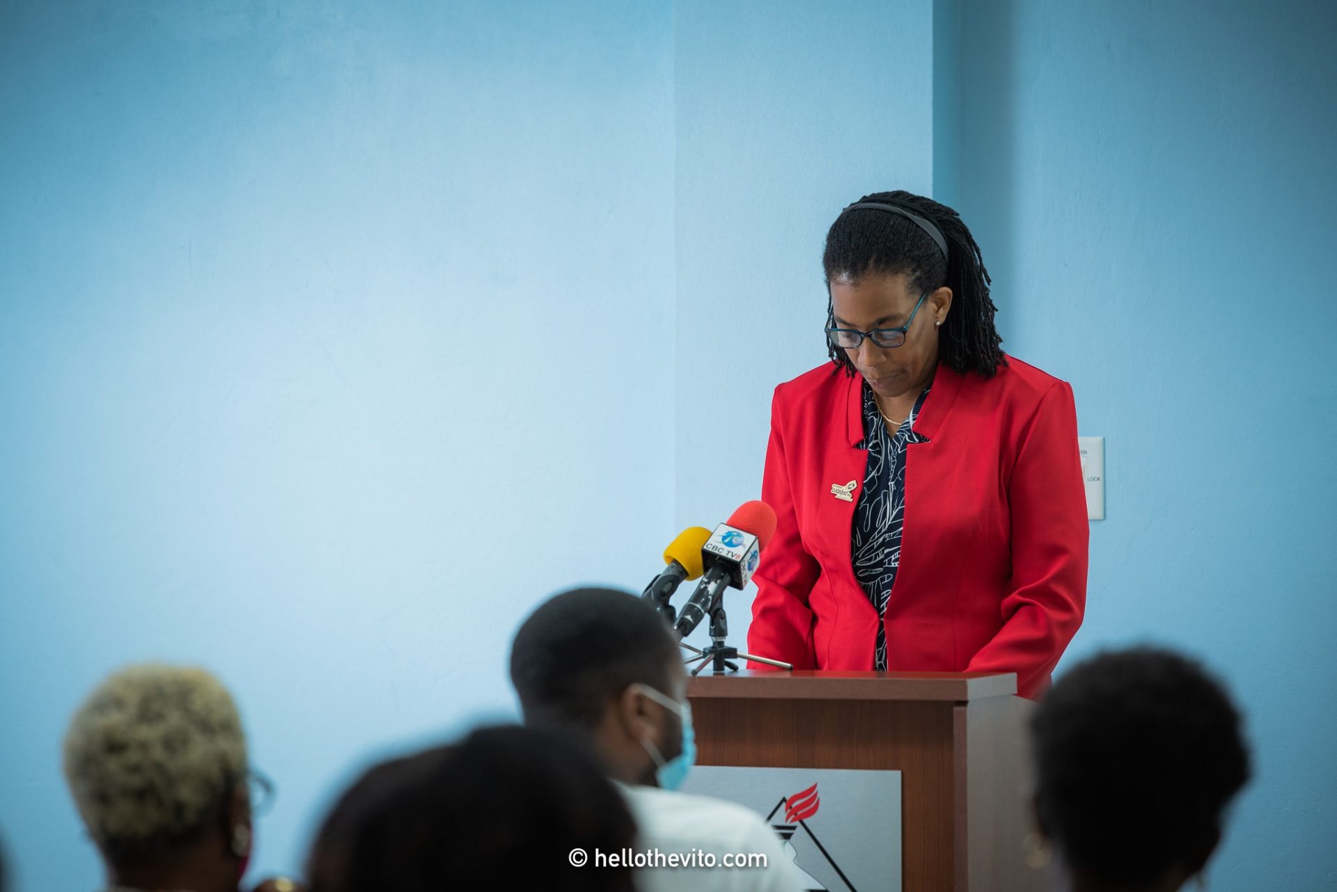 Jennifer Hinds, Consultant, presenting the Small Category