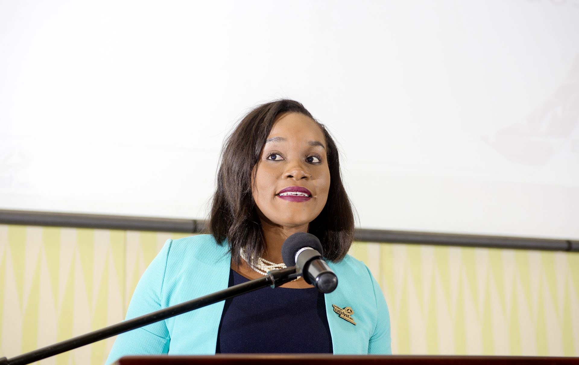 Junelle Brathwaite, Consulting Support at Caribbean Catalyst Inc. introduced the finalists in the Small category and