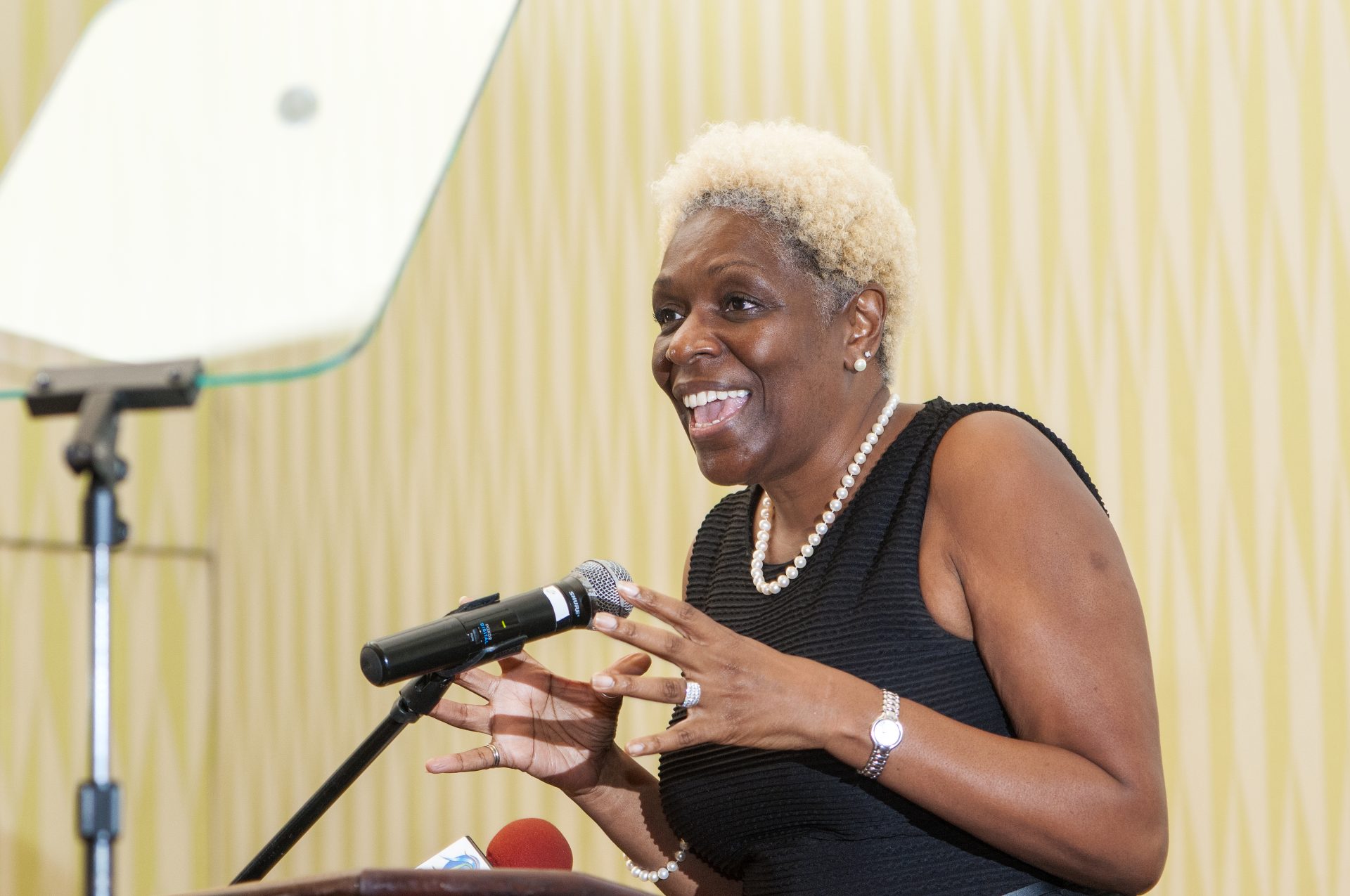 Pauline Jordan speaking on behalf of the review panel