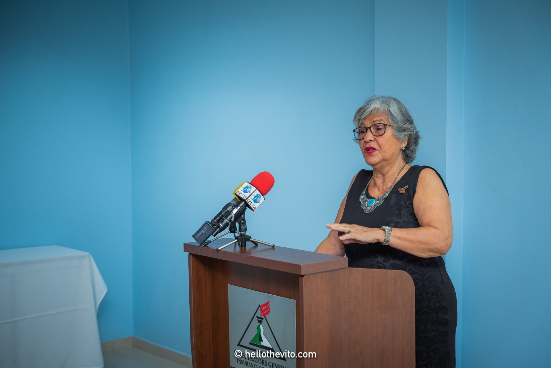 Ros Jackson Managing Director, Caribbean Catalyst speaking